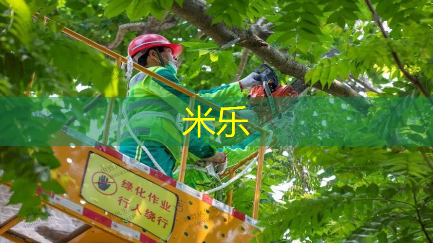mile·米乐m6：穆雷用什么网球拍好打