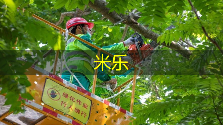 米乐m6官网登录入口：双人网球拍怎么玩教程图解