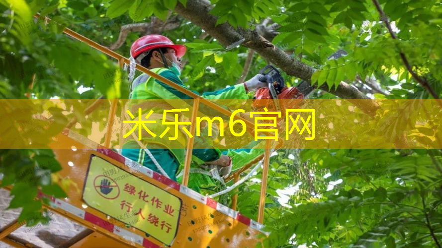 网球拍需要换线不换线吗_