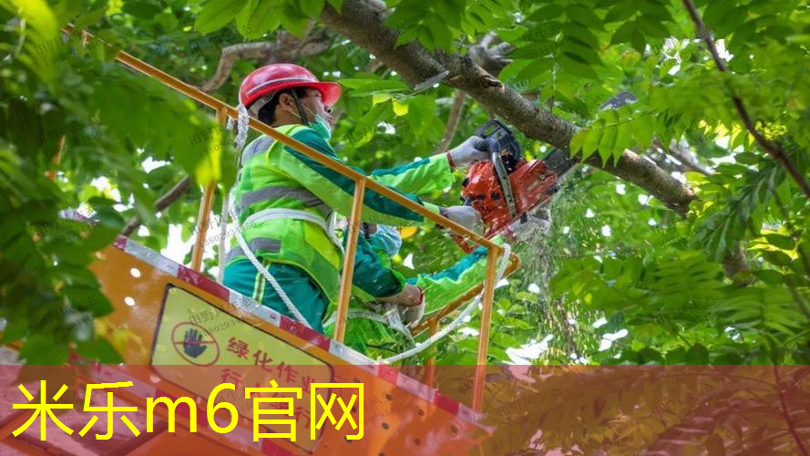 米乐m6官网：儿童用篮球投篮器材选择