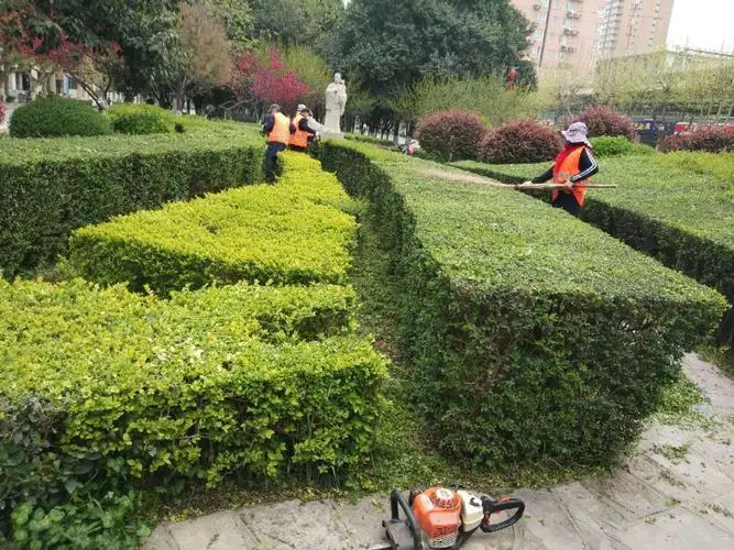 米乐：挑战心跳极限！玩转室外滑梯踏脚，尽享夏日乐趣