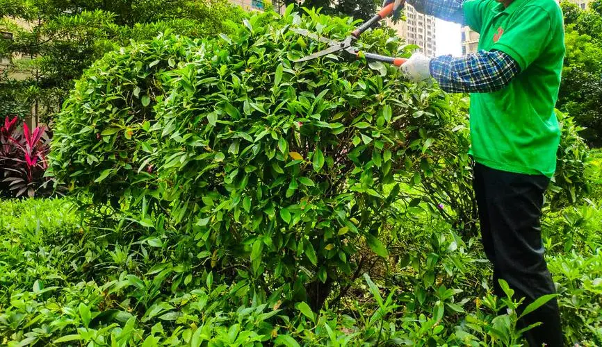 mile·米乐m6：成为球场王者的秘密武器：篮球架原料大揭秘！