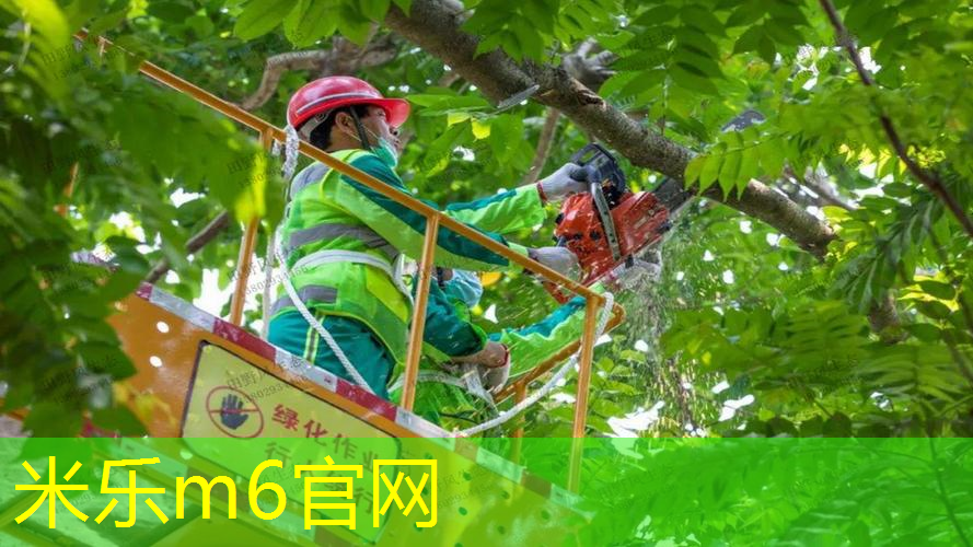 双人网球拍怎么玩教程图解